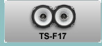TS-F17