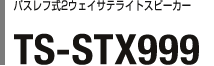 pXt2EFCTeCgXs[J[ TS-STX999