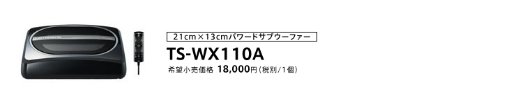 21cm×13cmパワードサブウーファー TS-WX110A