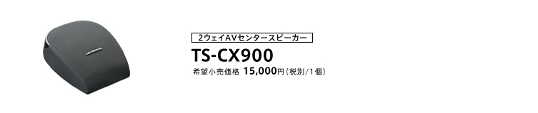 2ウェイパワードAVセンタースピーカー TS-CX900