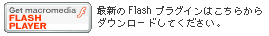 Flash Player _E[h
