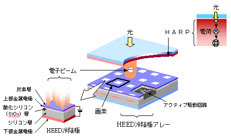 HEED冷陰極HARP撮像板の構造