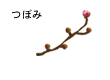 二月つぼみ