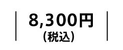 8,300円（税込）